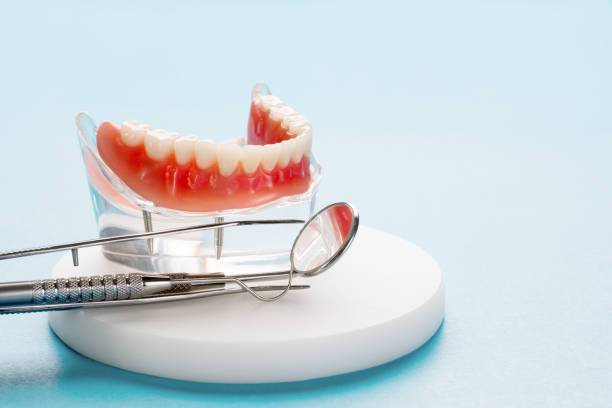 Best Preventive Dentistry  in Pine Level, NC